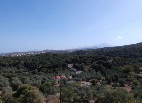 Griekenland ~ Kreta - Grond