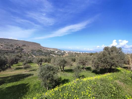 Griekenland ~ Kreta - Bouwgrond
