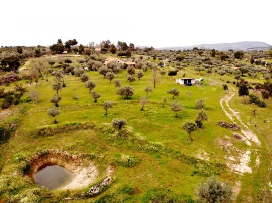 Portugal&nbsp;-&nbsp;Castelo&nbsp;Branco&nbsp;-&nbsp;Penamacor&nbsp;-&nbsp;Aldeia&nbsp;do&nbsp;Bispo