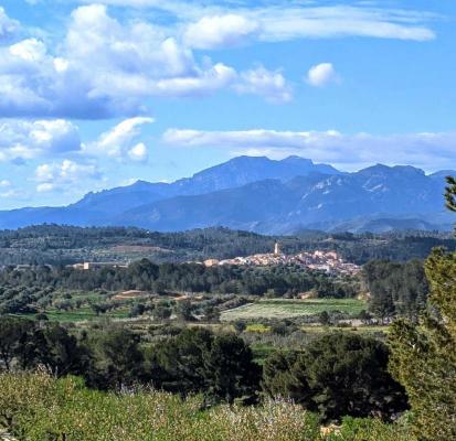 Spanje ~ Cataloni ~ Tarragona ~ Binnenland - Grond
