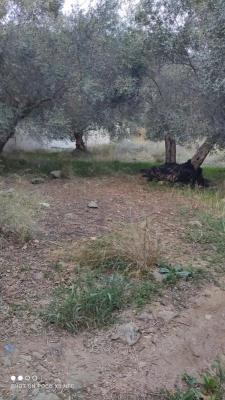 Griekenland ~ Kreta - Grond