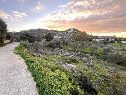 Griekenland ~ Kreta - Bouwgrond