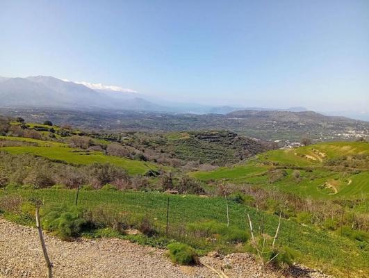 Griekenland ~ Kreta - Grond