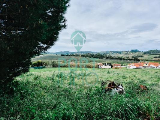 Portugal ~ Leiria ~ Alcobaa - Bouwgrond