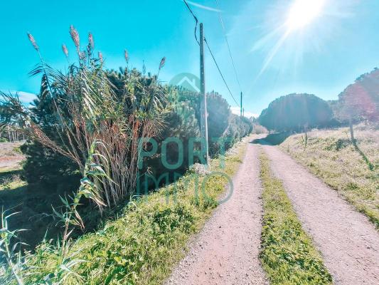 Portugal ~ Leiria ~ Caldas da Rainha - Bouwgrond