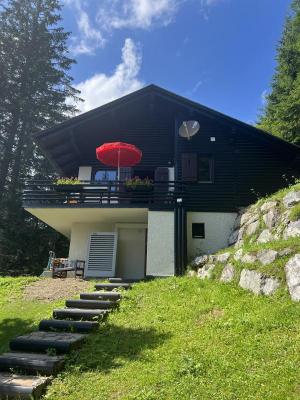 Oostenrijk ~ Stiermarken - Chalet
