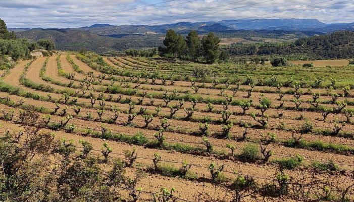 Spanje&nbsp;-&nbsp;Cataloni�&nbsp;-&nbsp;Tarragona&nbsp;-&nbsp;Garcia