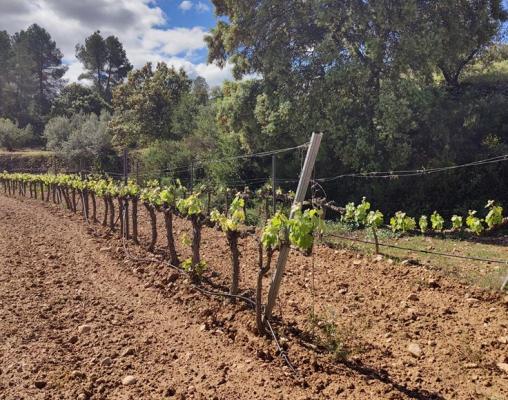 Spanje&nbsp;-&nbsp;Cataloni�&nbsp;-&nbsp;Tarragona&nbsp;-&nbsp;Garcia
