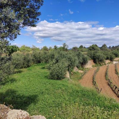 Spanje&nbsp;-&nbsp;Cataloni�&nbsp;-&nbsp;Tarragona&nbsp;-&nbsp;Garcia