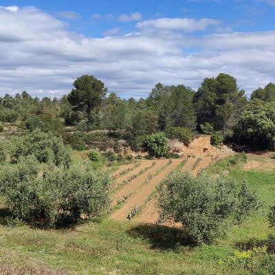 Spanje&nbsp;-&nbsp;Cataloni�&nbsp;-&nbsp;Tarragona&nbsp;-&nbsp;Garcia