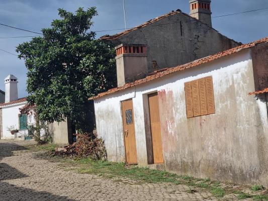 Portugal ~ Castelo Branco - Hoekwoning