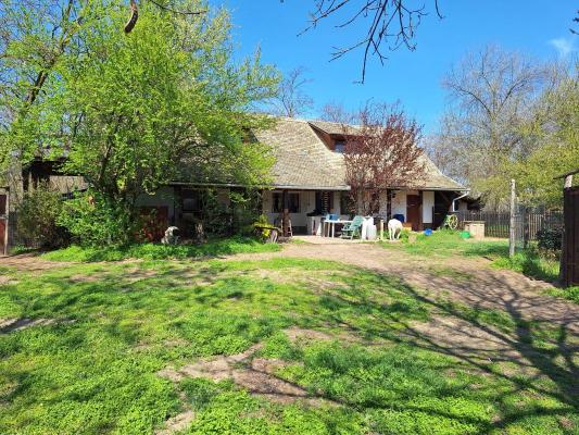 Hongarije ~ Puszta / Tisza Meer ~ Bcs-Kiskun (Kecskemt) - (Woon)boerderij