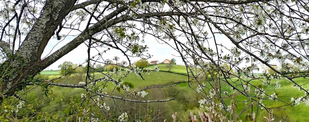 Frankrijk ~ Auvergne ~ 63 - Puy-de-Dme - Maison de Campagne