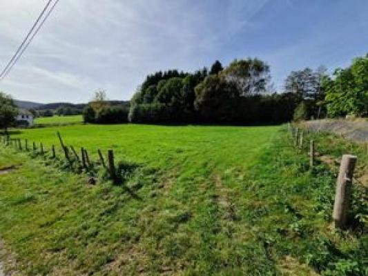 Belgi ~ Walloni ~ Prov. Luik / Eifel - Grond