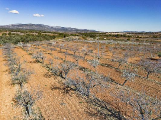Spanje ~ Valencia (Regio) ~ Costa Azahar (N) - Grond