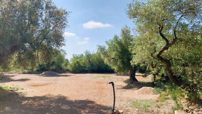 Spanje ~ Valencia (Regio) ~ Castelln ~ Binnenland - Camping