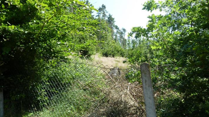 Duitsland&nbsp;-&nbsp;Th�ringen&nbsp;-&nbsp;Th�ringer&nbsp;Wald&nbsp;-&nbsp;Fambach