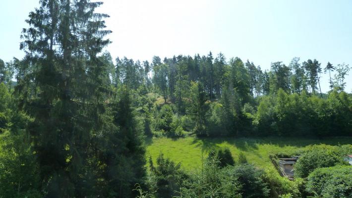 Duitsland&nbsp;-&nbsp;Th�ringen&nbsp;-&nbsp;Th�ringer&nbsp;Wald&nbsp;-&nbsp;Fambach