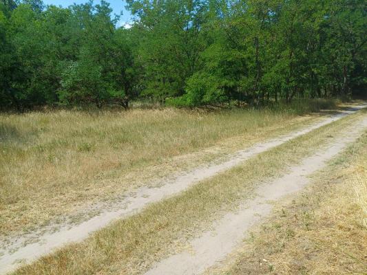 Hongarije ~ Puszta / Tisza Meer ~ Bcs-Kiskun (Kecskemt) - Bouwgrond