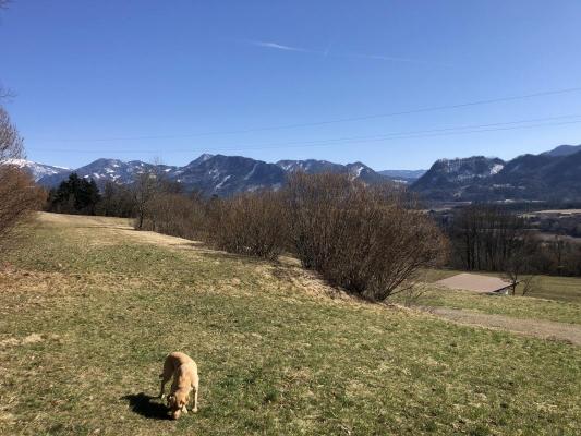 Oostenrijk - Karinthi - Obernarrach