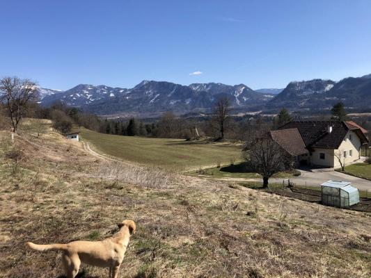 Oostenrijk - Karinthi - Obernarrach