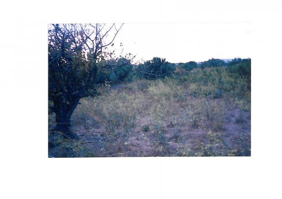 Griekenland ~ Attika - Bouwgrond