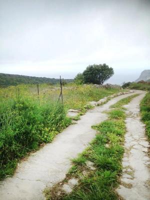 Griekenland ~ Attika - Grond