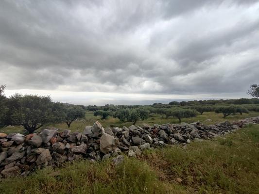 Griekenland ~ Kreta - Bouwgrond