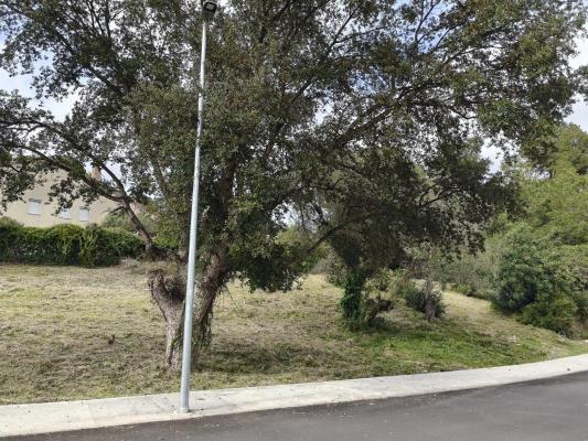 Spanje ~ Cataloni ~ Gerona ~ Costa Brava ~ Kust - Grond