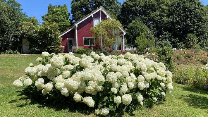 Frankrijk ~ Basse-Normandie ~ 50 - Manche - Woonhuis