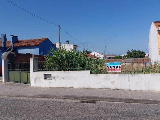 Portugal ~ Leiria ~ Marinha Grande - Bouwgrond