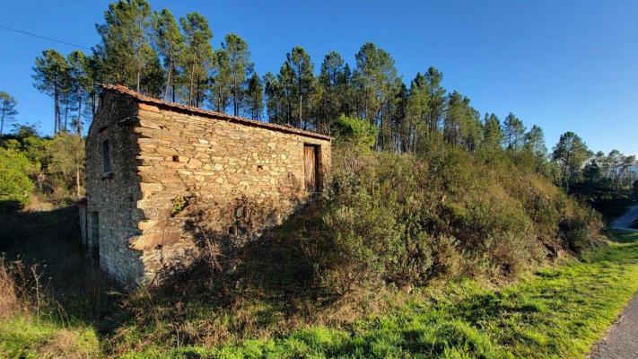 Portugal ~ Centro ~ Castelo Branco ~ Castelo Branco - Grond