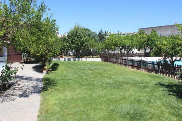 Portugal ~ Alentejo ~ Beja ~ Vidigueira - Hoekwoning