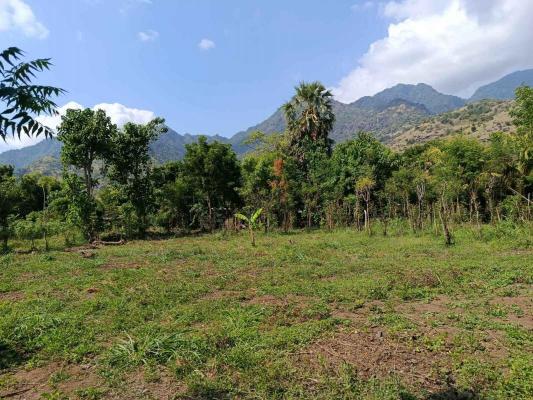 Indonesi� ~ Bali - Bouwgrond