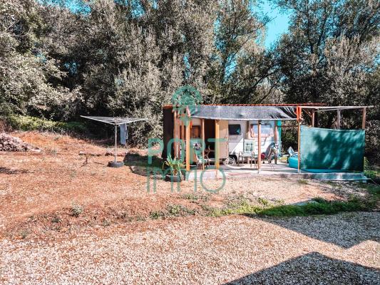 Portugal ~ Leiria ~ Alcoba�a - Grond