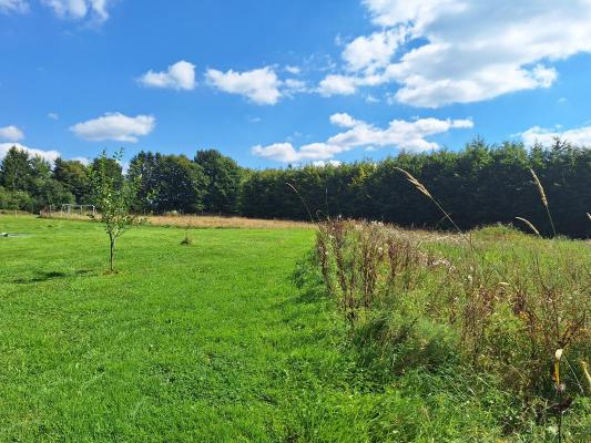 Belgi ~ Walloni ~ Prov. Luik-Oostkantons - Bouwgrond