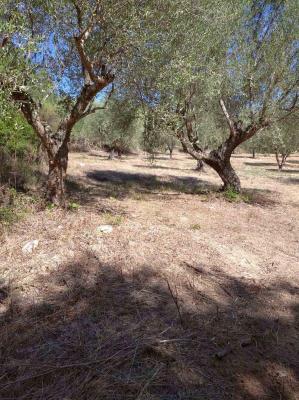 Griekenland - Peloponnese - Fill in: place name