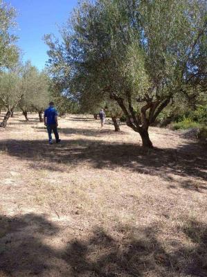 Griekenland - Peloponnese - Fill in: place name