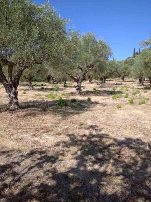 Griekenland - Peloponnese - Fill in: place name