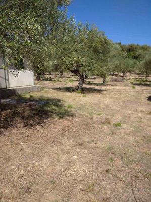 Griekenland - Peloponnese - Fill in: place name