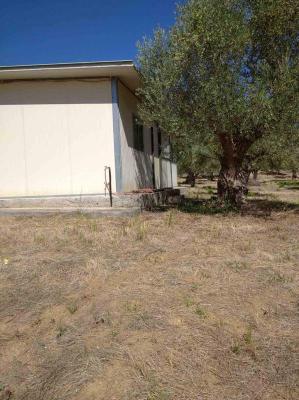 Griekenland - Peloponnese - Fill in: place name