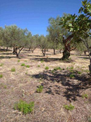 Griekenland - Peloponnese - Fill in: place name