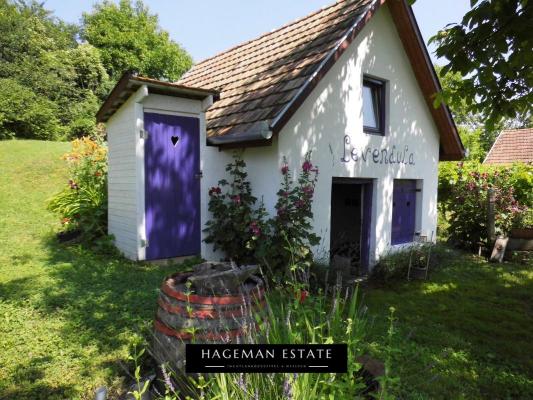 Hongarije ~ West & Balatonmeer ~ Somogy (Kaposvr) - Vakantiehuis