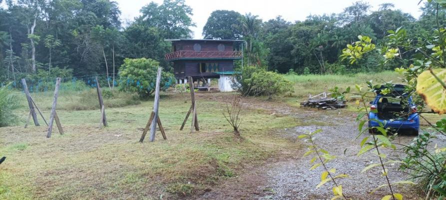 Suriname ~ Commewijne - Grond