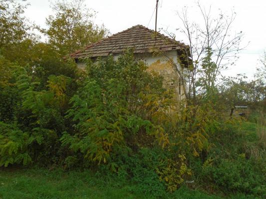 Hongarije ~ West & Balatonmeer ~ Zala (Zalaegerszeg) - Bouwgrond