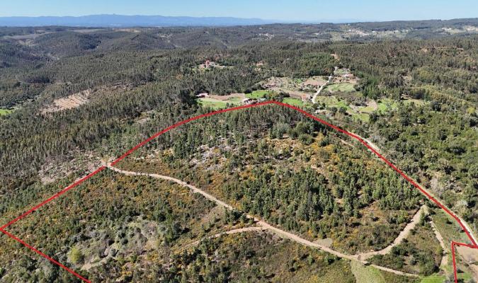 Portugal ~ Coimbra ~ Arganil - Bouwgrond