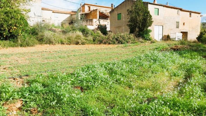 Spanje ~ Valencia (Regio) ~ Castell�n ~ Costa Azahar (N) ~ Kust - Woonhuis