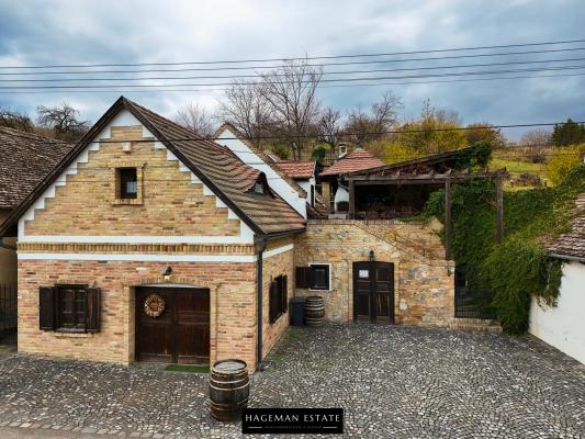 Hongarije ~ West & Balatonmeer ~ Somogy (Kaposv�r) - Landhuis