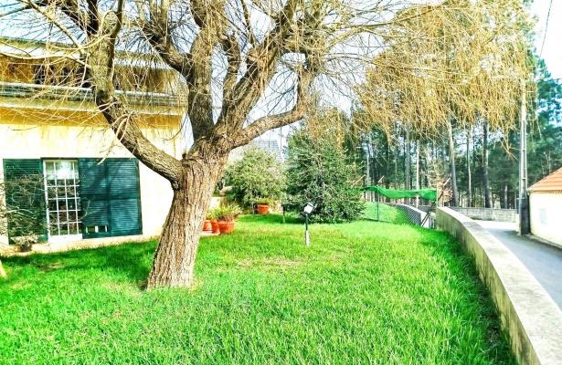 Portugal&nbsp;-&nbsp;Aveiro&nbsp;-&nbsp;Oliveira&nbsp;de&nbsp;Azem�is&nbsp;-&nbsp;Macieira&nbsp;de&nbsp;Sarnes