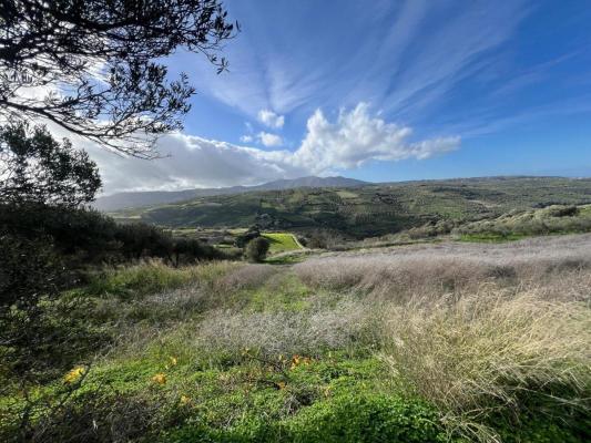 Griekenland ~ Kreta - Bouwgrond